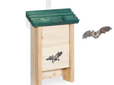 Abri pour chauves-souris