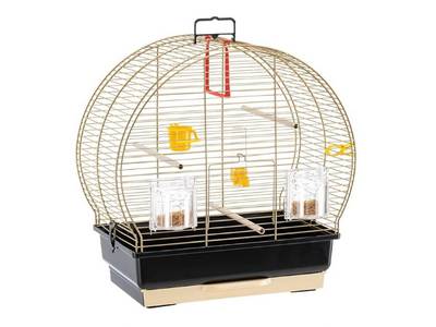 Cage à oiseaux pour canari